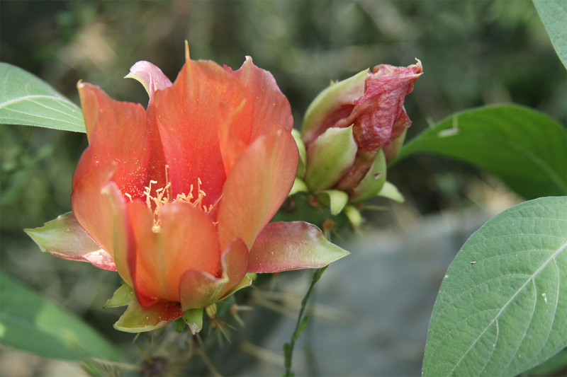 Illustration for article titled Spring has sprung: A Xyl0 photo gallery